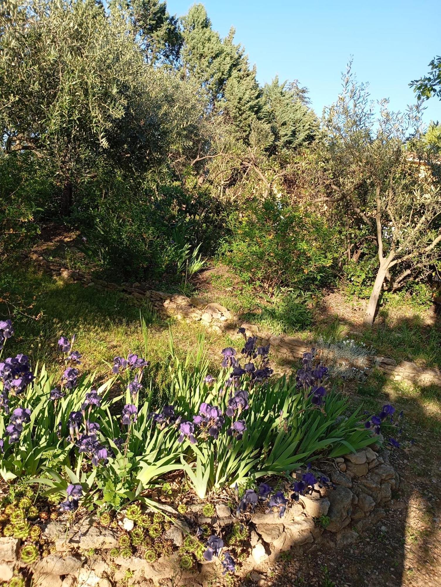 Studio 25M2 Avec Piscine Et Spa, Proche Iter Et Cadarache Διαμέρισμα Valensole Εξωτερικό φωτογραφία